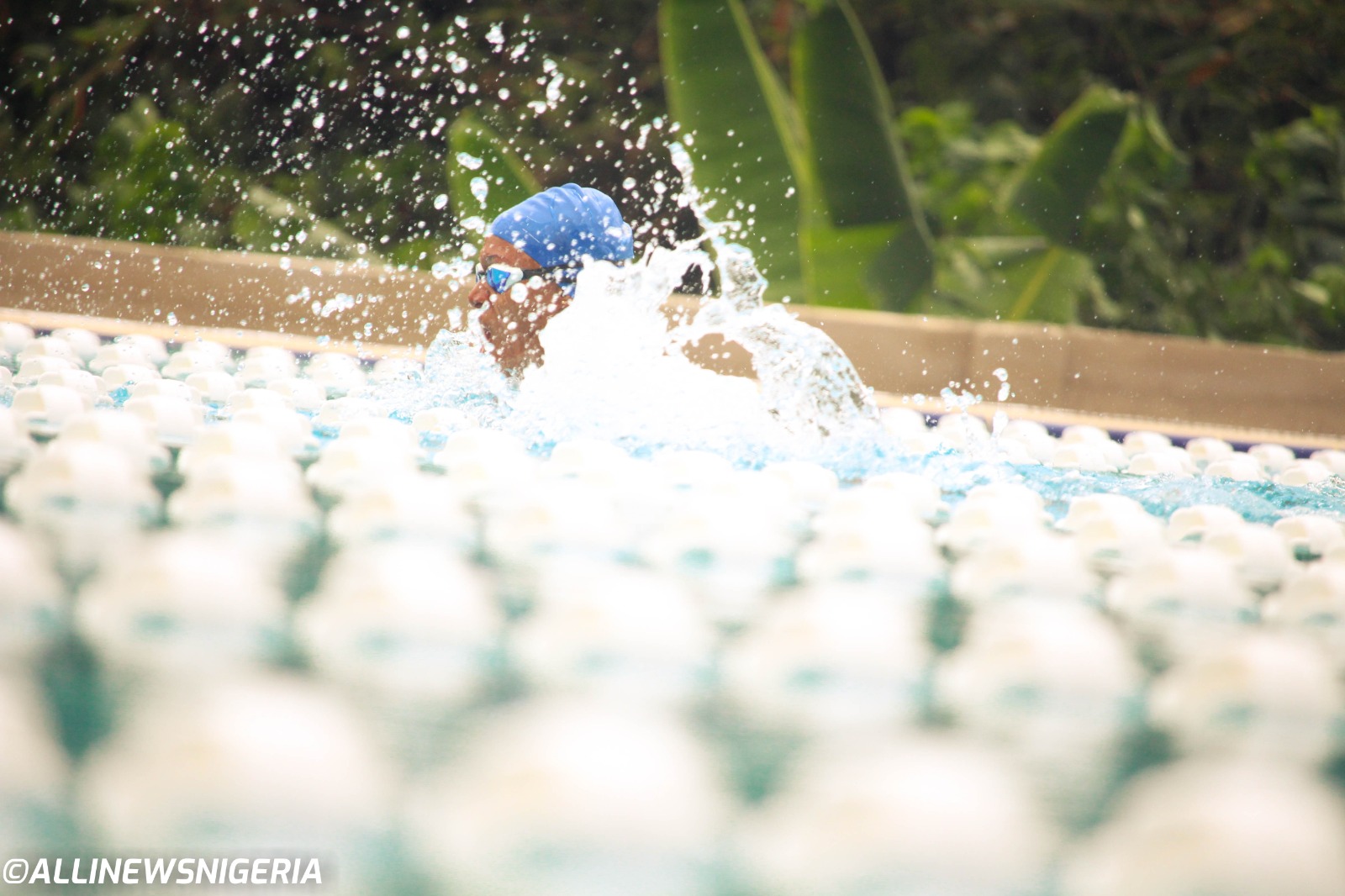 Newsletter Background